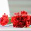 Multiple Colors Fresh Cut Carnation Flower For Flower Arrangement Red Carnation Flowers