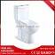 Professional supplier of chinese one piece toilet or made in China closet toilet