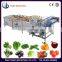 QX-3-600 Small Size home fruit and vegetable washing machine(Promotion)