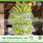 High quality comfortable nonwoven disposable multi agriculture products cover,banana bag