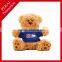 OEM designs high quality SGS tested Plush toys
