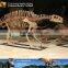 MY Dino-C034 Museum good quality dinosaur skeleton