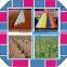 Best selling fiberglass rod stick pole stakelattice for climbing plants,good quality lattice for trees for plants with low price