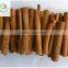China Origin 8cm AA Grade Cinnamon Stick