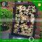 Decorative Color Titanium Coated Etched Stainless steel Sheet