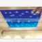 2016 Alibabab China LED fiber optic star Starry sky on ceiling for decoration