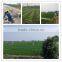 Effective uav drone crop spraying Professional Agriculturual UAV drones 10L