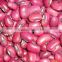 Vigna beans Red vigna beans