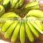 Fresh Sweet Banana