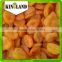 top quality Organic Sun Dried Apricot