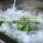 WASC-10 Leaf Vegetable Washing Cleaning Processing Machine
