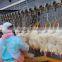 Poultry slaughtering equipment for chicken 008618052092685