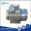High Voltage Three Phase Asynchronous Motor