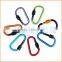 Fashion High Quality carabiner with ring
