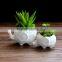 Indoor decor ceramic flower pots small white animal bonsai