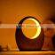 Elegant Intelligent Wood Table Lamp with-in Lithium Battery Gesture sensor control