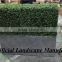 Fake Boxwood Hedge Panel,Artificial boxwood Mat for Sale Landscaping Home Garden Decoration