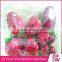 Wholesale Artificial Fruit For Decoration tropical fruits artificial styrofoam fruit