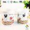 color changing ceramic photo hot water magic cup