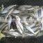 8-10pcs/kg Sardine W/R new coming 2015