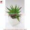 Artificial mini aloe little plants succulents plants artificial mini succulents