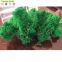 High quality 500G Per Box artificial decorative moss preserved moss for moss wall decoration