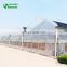 Low Price greenhouse commercial film cover greenhouse,plastic film greenhouse for agriculture farming