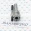 ERIKC DLLA 146P2437 common rail injector nozzles 0433172437 auto fuel nozzle DLLA146P2437 for Bosh 0445120377