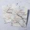 custom lucite acrylic butterfly invitation cards for wedding party