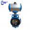 D71X PN10/16 EPDM Sealing Center Line Butterfly Valve For Water