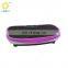 Exercise Equipment fitness electric mini whole body vibration plate