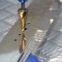 HSS Step Drill Bit Set