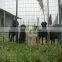 wholesale cheap farm fence pvc coated green color gi welded wire mesh matting roll