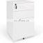 Commercial-Grade Mobile Wooden Filing Cabinet