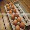 Molded Paper Pulp Egg Tray Professional Factory