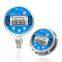 High precision digital pressure gauge with stable performance