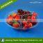 Disposable Plastic Fruit Food Grade Container Clamshell Packing