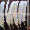 Natural White Indian Turkey Feather For DIY Decoration