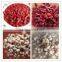beans in tomato sauce wholesale
