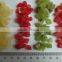 dried fruit without sugar