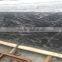 China juparana granite price
