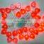 new style and multiform various types of led lightings christmas battery lights