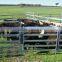 Hot dipped Galvanised 2.1m*1.8m steel ovel tube portable cattle panels hot sale