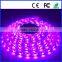 high quality luzes para fesa led strip 5050 300leds 12v 24v dc IP65 waterproof 72w 5meter/roll rgb led chrismas flexible strip