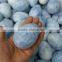 wholesale natural rock blue calcite gemstone eggs crystal stone eggs for sale