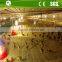 Automatic Auger Feeding and Nipple Drinking Equipment for Ground Chicken
