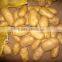 New crop fresh Potato with best price for sale                        
                                                Quality Choice