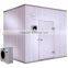 Standard Cold Room/ PU cold storage room / storage freezer room