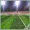 AVG High Quality Artificial Imitation Long Grassy Turf For Soccer Field
