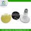 40 Months Guarantee Bulb Type Pet Ceramic Lamp250W